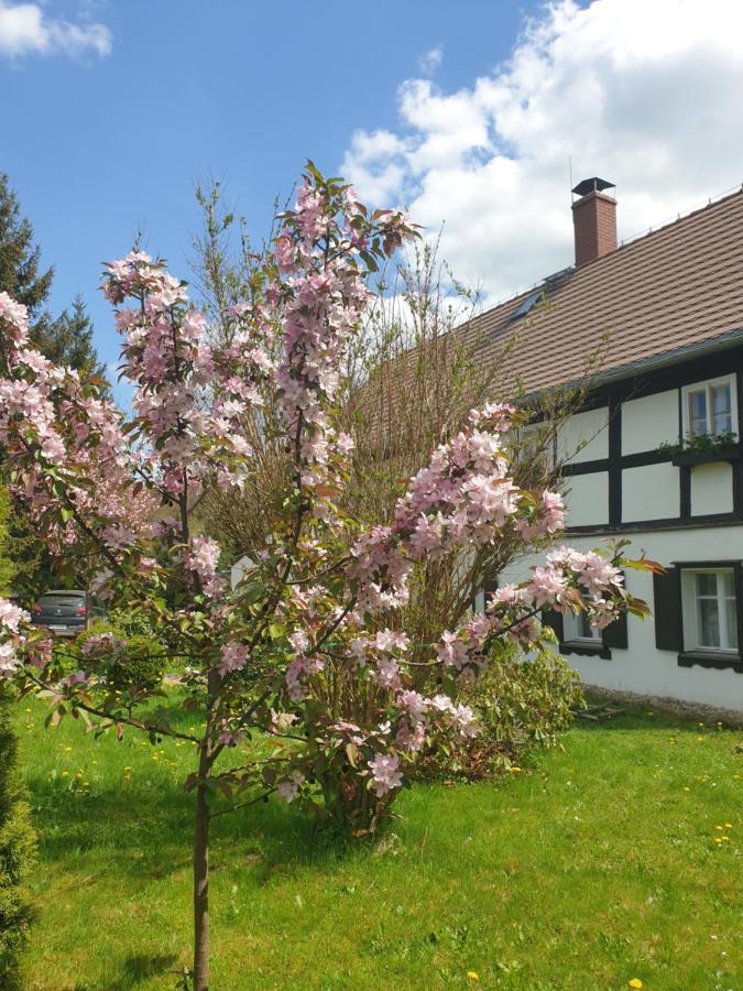 Lusatia Farm Leśna Exterior foto
